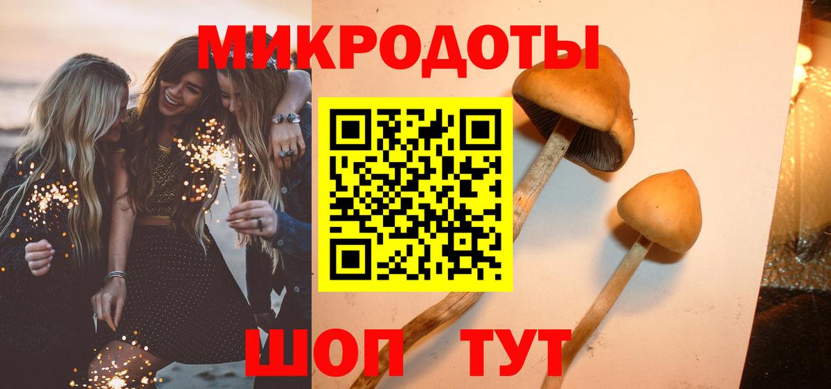 Сальск  Псилоцибиновые грибы Magic Shrooms  Вход с VPN 