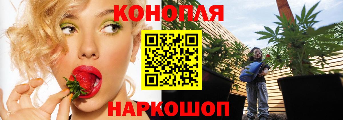 Канабис Amnesia  Вход с VPN  Бошки марихуана Ganja  Сальск  Марихуана конопля 